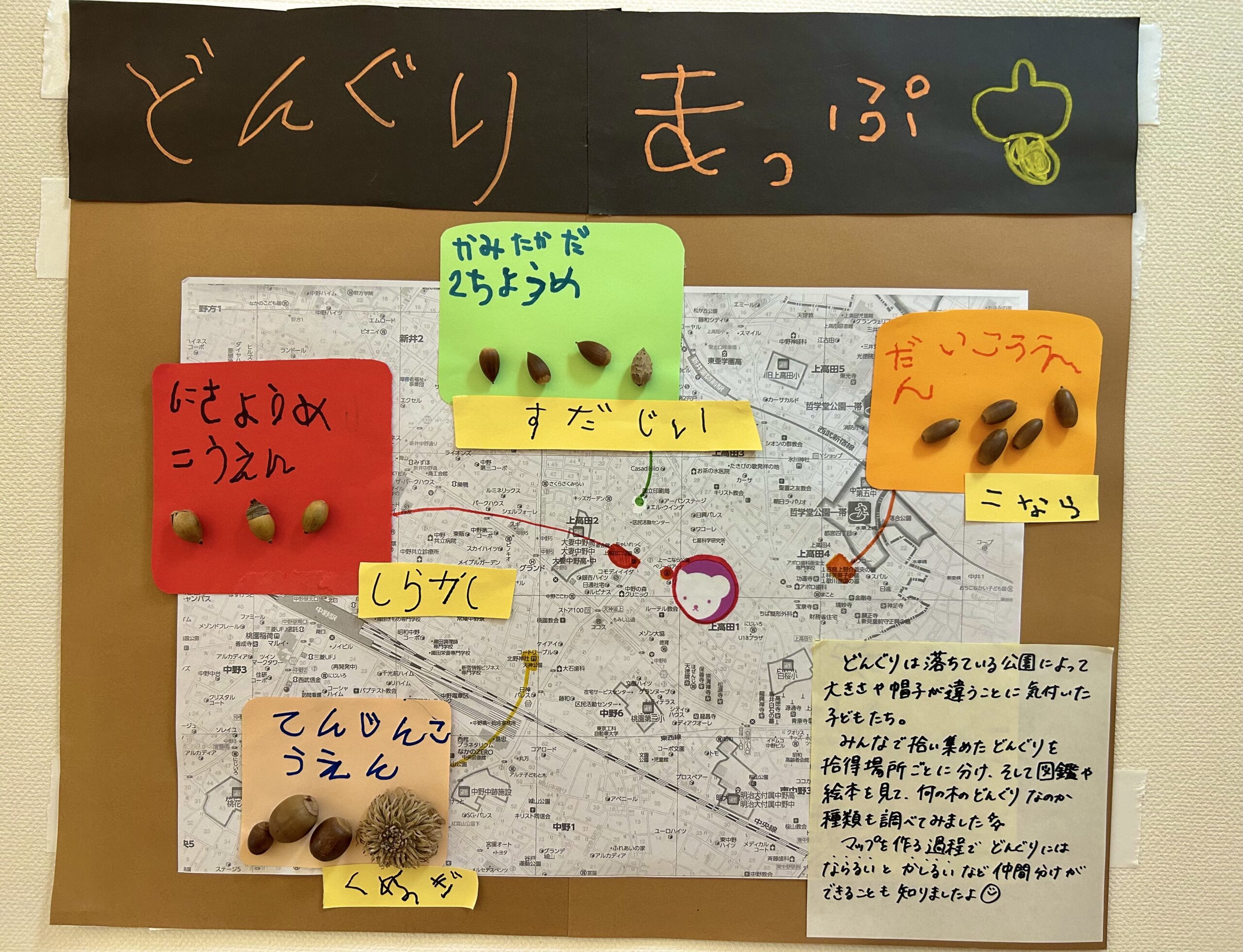 どんぐり🍂 | 保育園のベリーベアー｜ネス・コーポレーション